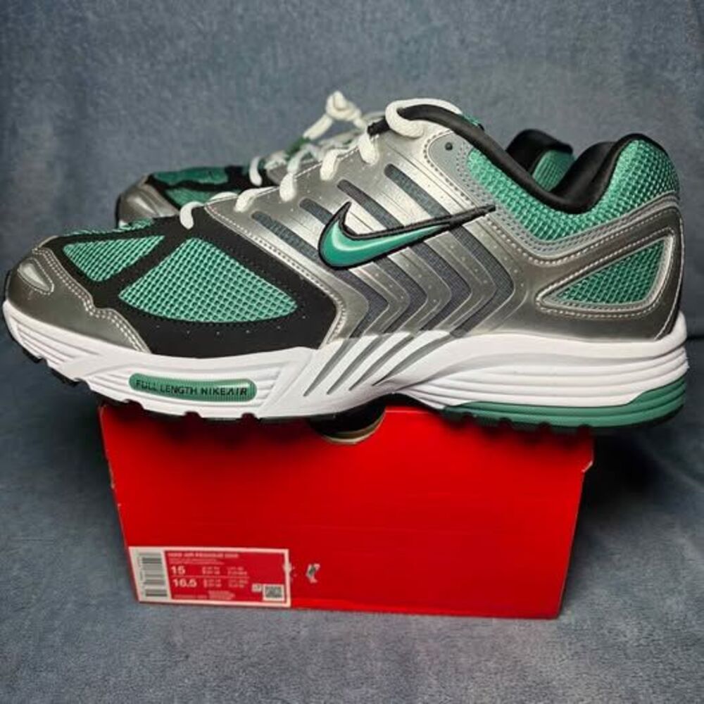 Nike Air Pegasus 2005 Metallic Silver Bicostal Men's Size 15